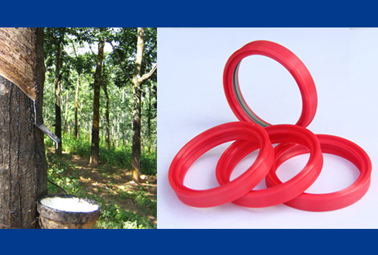 橡膠密封圈巴西橡膠樹(shù)