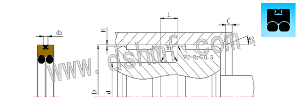 星型雙O組合DQF的型號(hào)規(guī)格表_型號(hào)規(guī)格