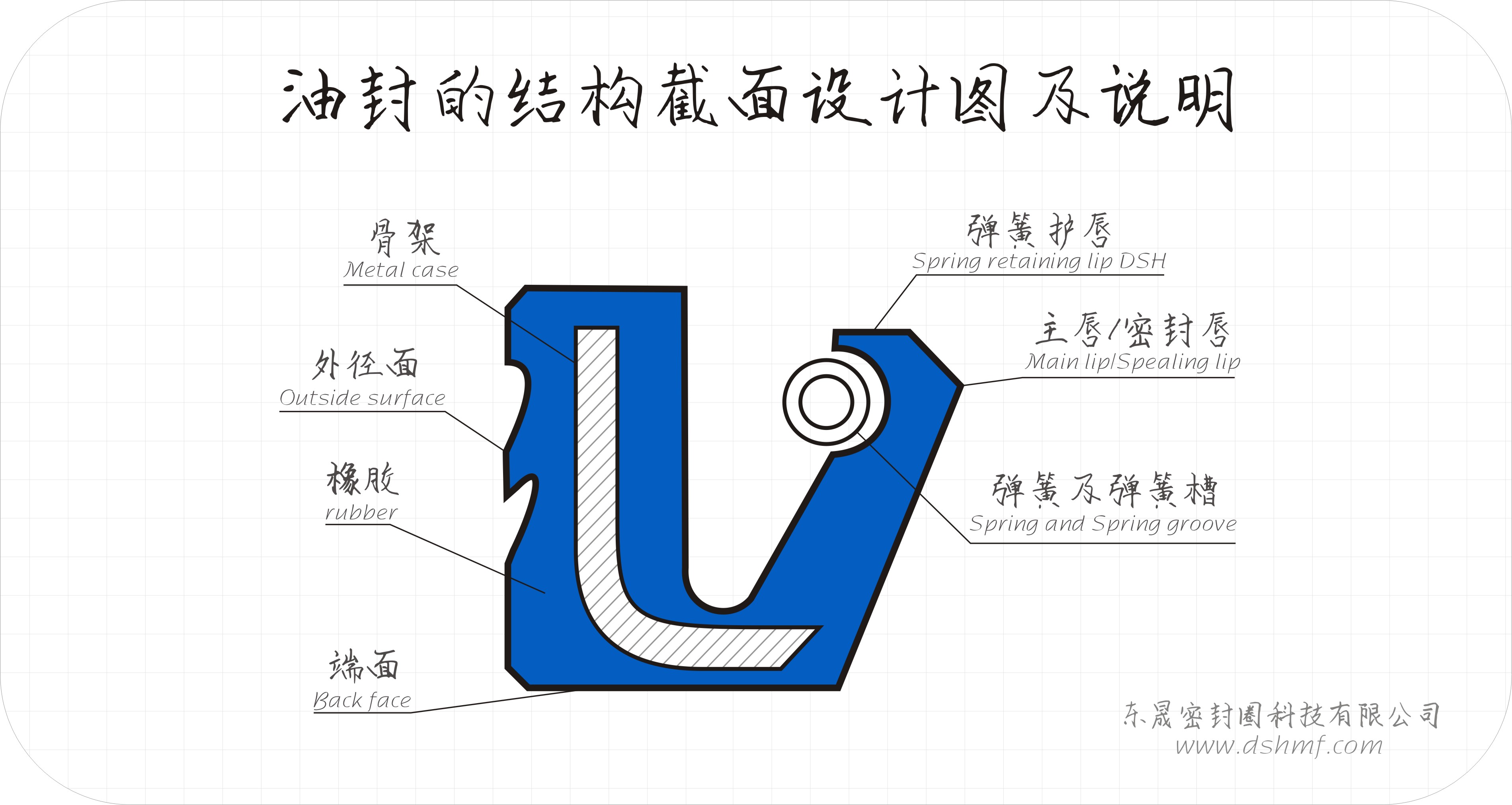 油封的結(jié)構(gòu)截面設(shè)計圖及說明