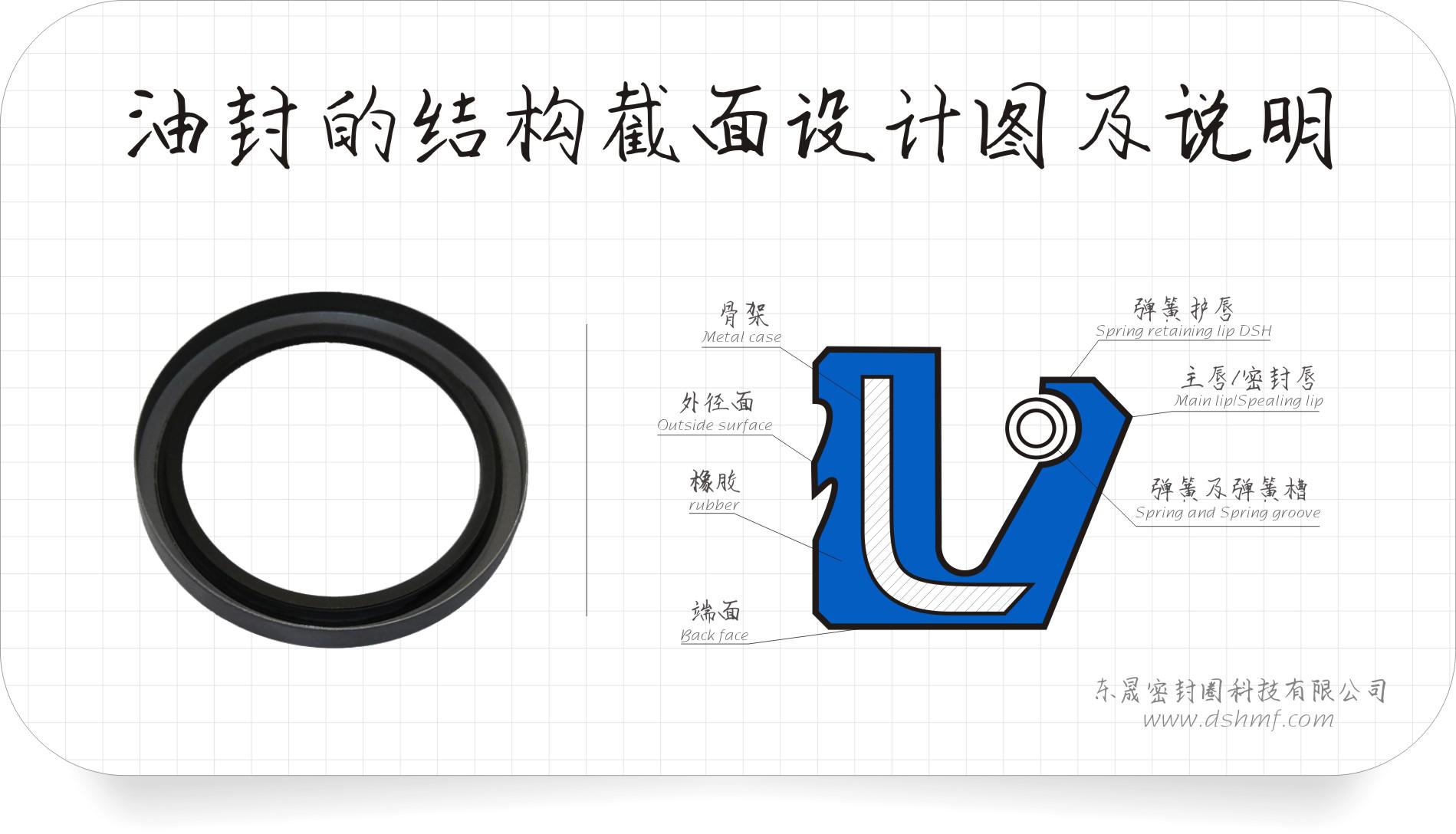 油封的結(jié)構(gòu)截面設(shè)計(jì)圖及說(shuō)明 油封的結(jié)構(gòu)截面設(shè)計(jì)圖及說(shuō)明