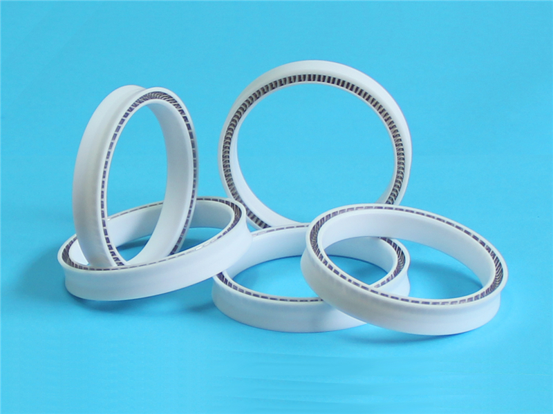 密封圈，泛塞封