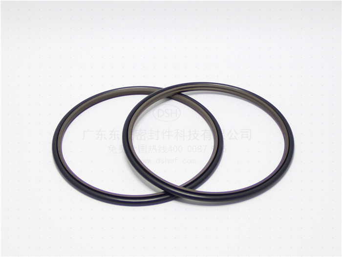 往復(fù)運動橡膠密封件