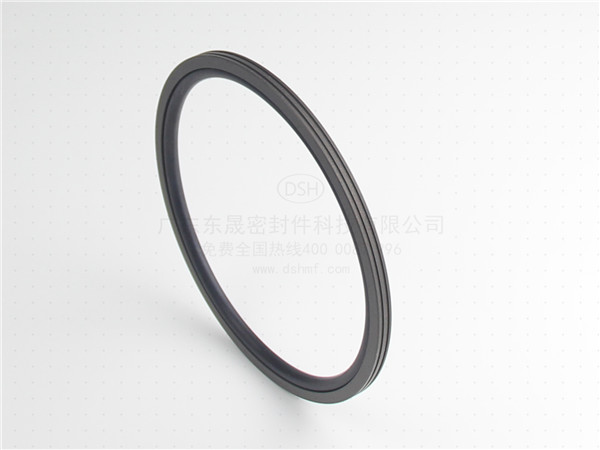 旋轉(zhuǎn)唇形油封,密封圈