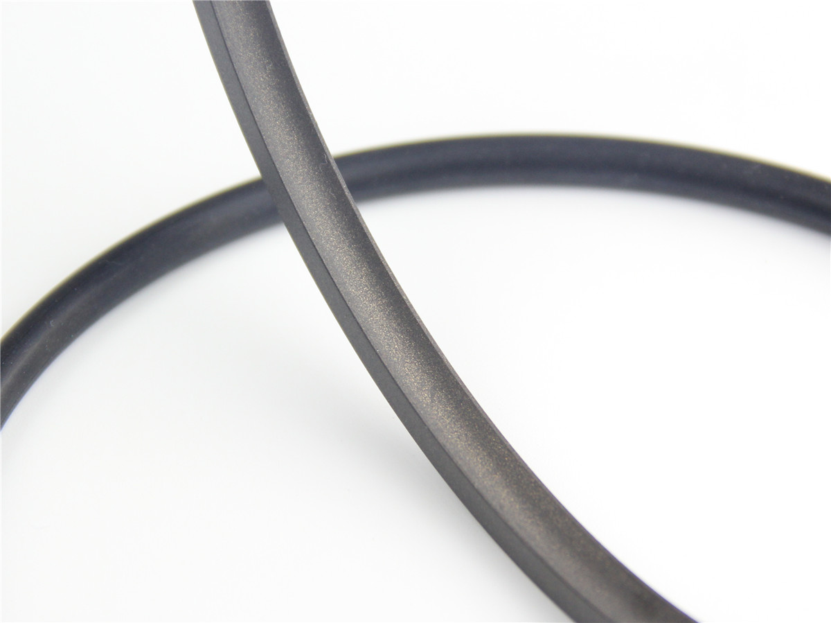 孔用旋轉(zhuǎn)格萊密封圈DNS