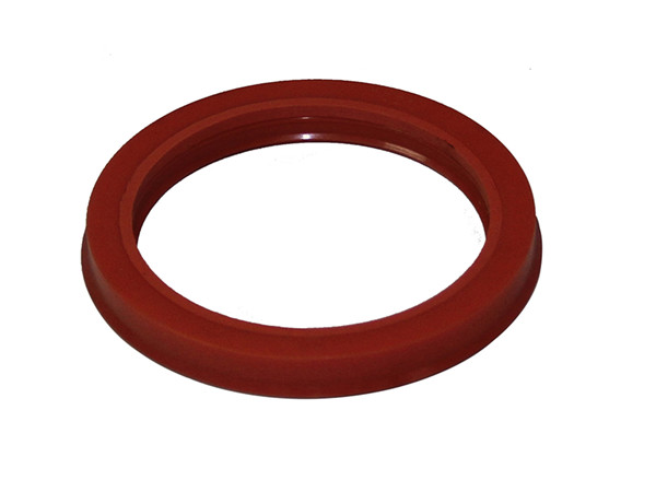 唇形密封圈,雙唇密封圈