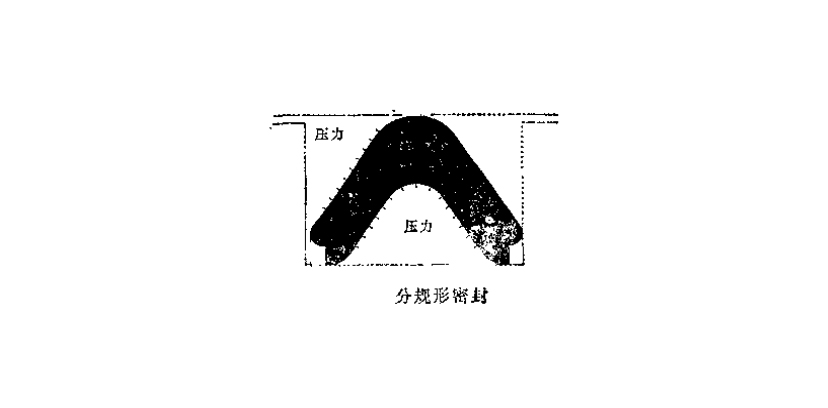 C型密封圈分規(guī)形密封圈結(jié)構(gòu)圖
