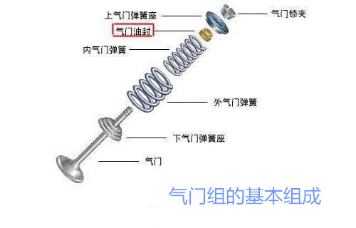 氣門油封,TC油封結(jié)構(gòu)