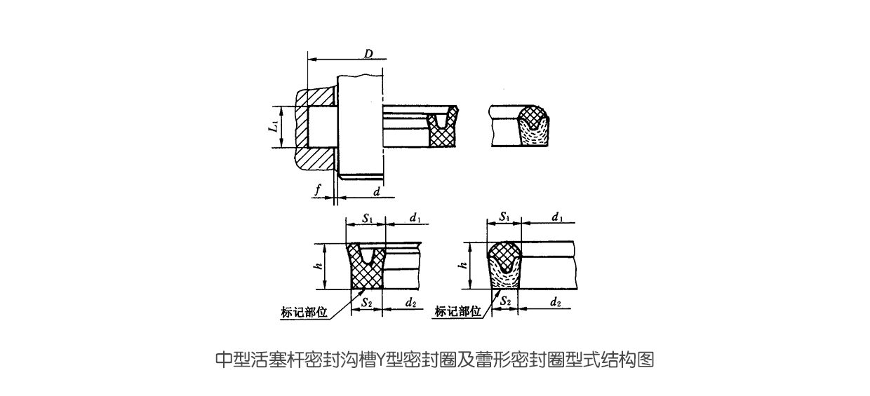 中型活塞桿密封溝槽Y型密封件及蕾形密封件型式結(jié)構(gòu)圖