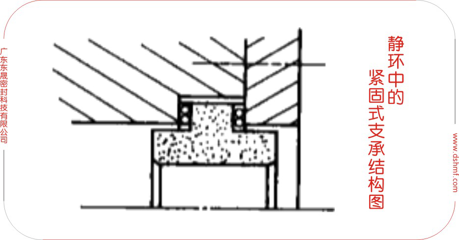 不同的靜環(huán)支承方式之緊固式靜環(huán)密封結構