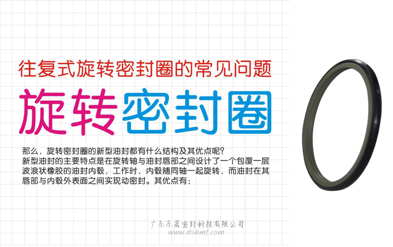 一個往復(fù)式的旋轉(zhuǎn)密封圈的常見問題集