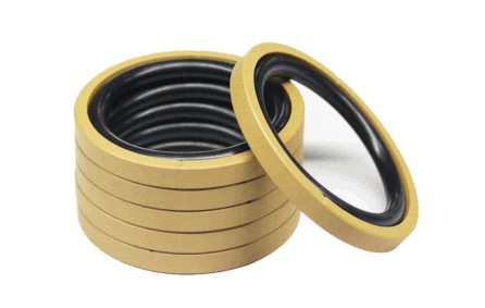 孔用格萊圈DSF 孔用格萊圈DSF