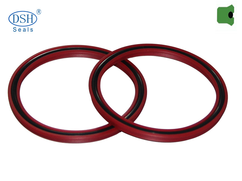 適用于斯特封溝槽的U型圈DUS 適用于斯特封溝槽的U型圈DUS