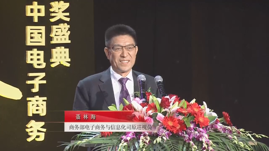 商務部電子商務與信息化司原巡視員聶林海先生