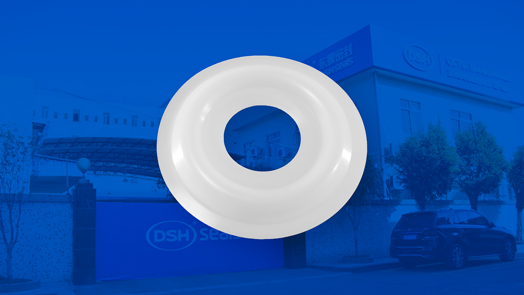 米頓羅計(jì)量泵膜片 （又叫隔膜、密封件、密封圈、油封） (2)