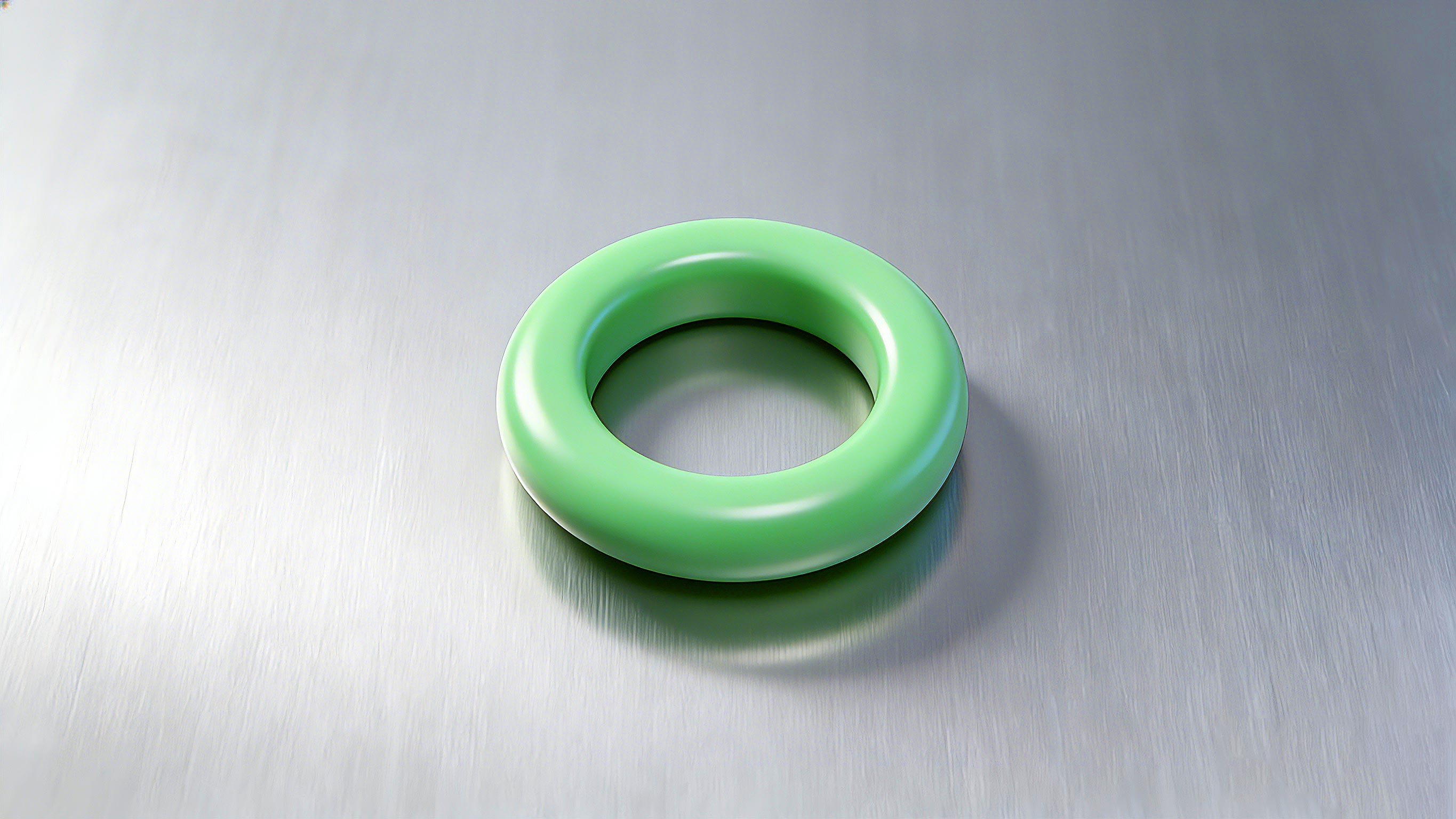 O型密封圈2000 (2)