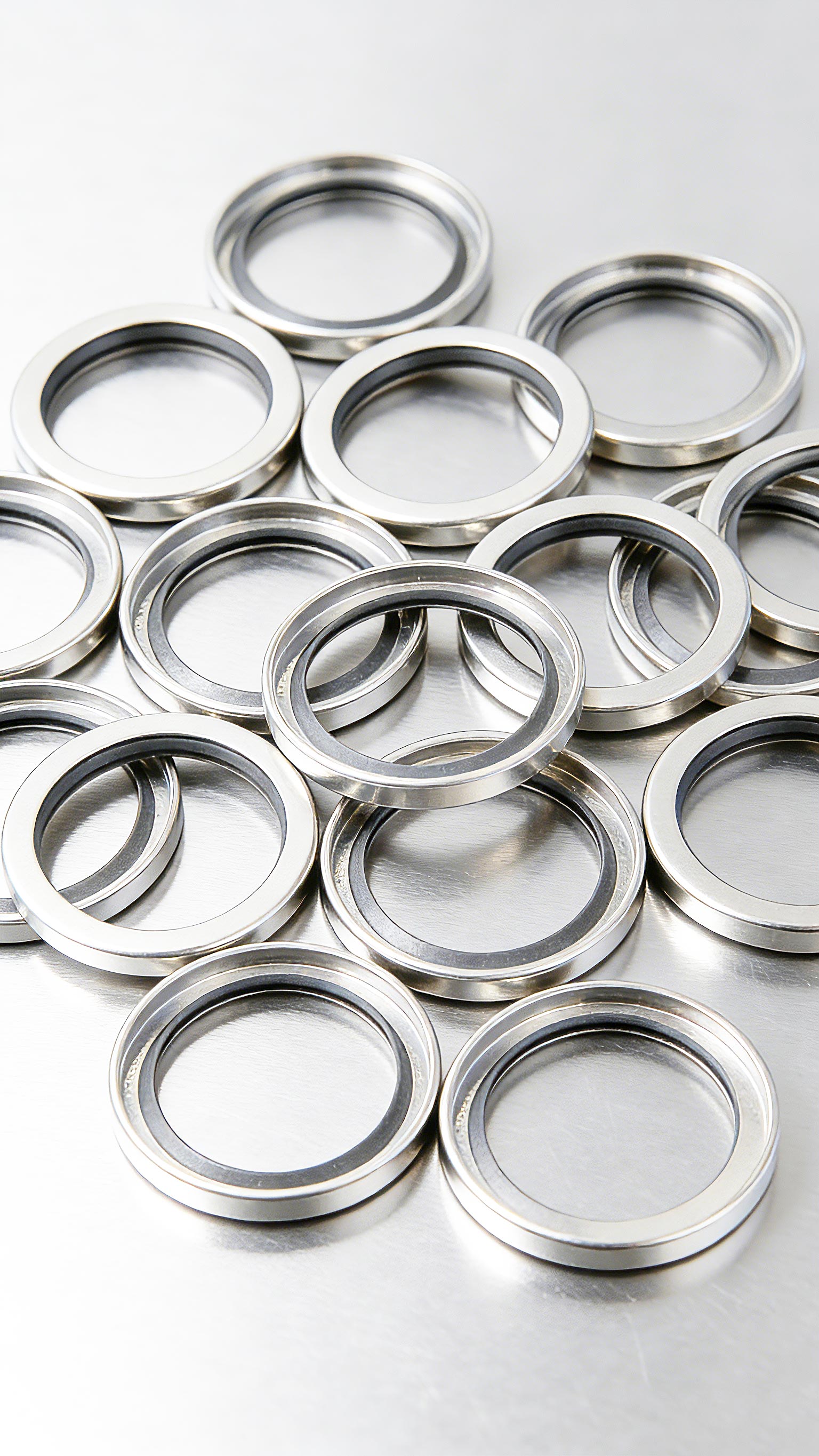 不銹鋼油封A型-2000 (2)