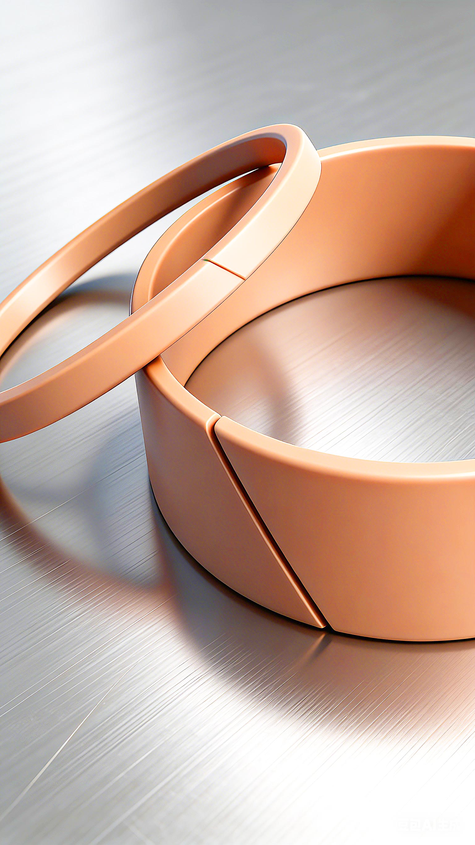 導(dǎo)向環(huán)DST3-2000 (2)