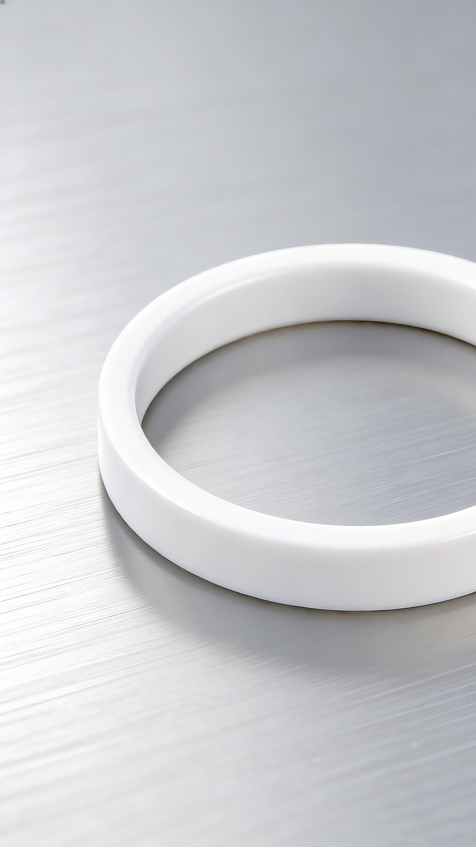 耐高溫塑膠VB密封件800