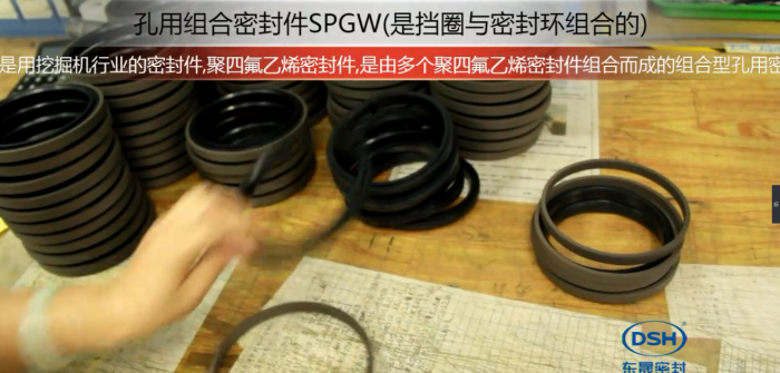 孔用組合密封件SPGW(擋圈與密封環)密封產品