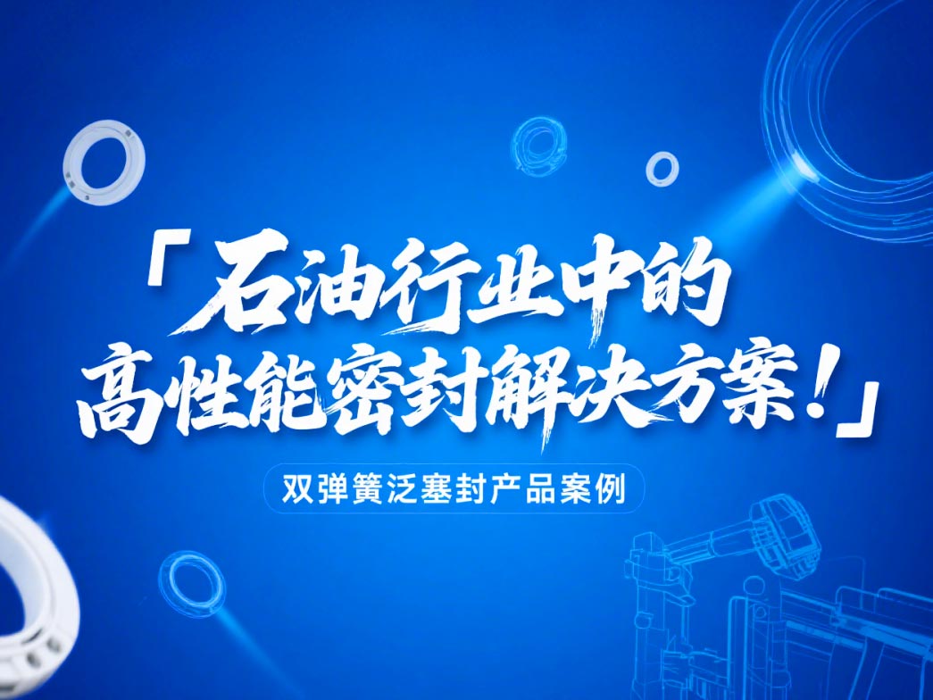 ?雙彈簧泛塞封產(chǎn)品案例 ? 石油行業(yè)中的高性能密封解決方案！?