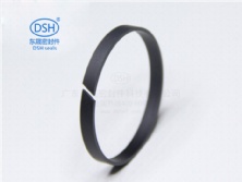 導(dǎo)向環(huán)(背托環(huán))DST