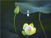 立夏已至，萬物向陽；