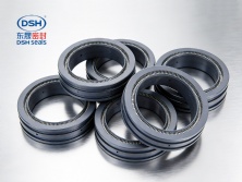 四氟雙向彈簧泛塞封密封圈