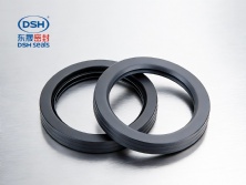 全四氟油封（PTFE）B1型