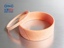 導(dǎo)向環(huán)DST3